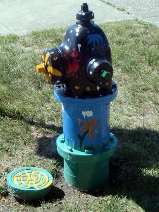 Fireworks - St. Charles and Yale (4)